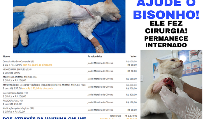 BISONHO PRECISA DE AJUDA CIRURGIA