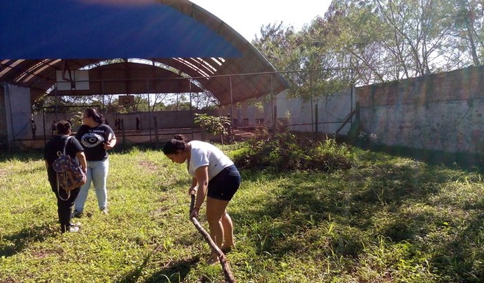 Projeto Horta e Jardim do Colégio Estadual Jk de Oliveira. Sua ajuda fará a diferença para nosso projeto.