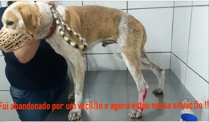 Ajuda para o Magrelo