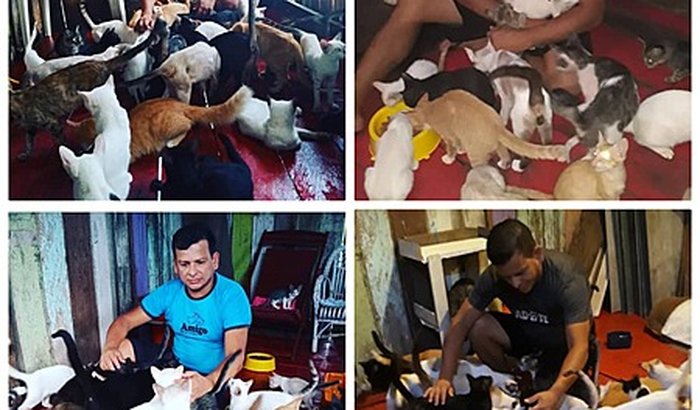 Doe para comprar ração. Para animais resgatados