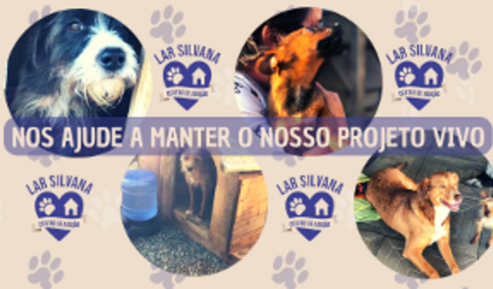 Ajude a manter este projeto vivo! Ajude o Lar Silvana.