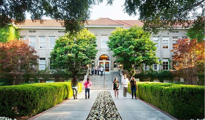 GANHEI UMA BOLSA DE ESTUDOS NA CALIFORNIA - ME AJUDE A IR