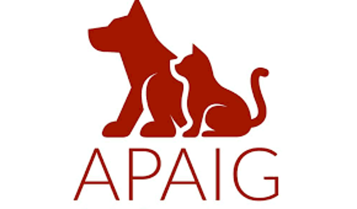 NOVO ABRIGO PARA OS ANIMAIS