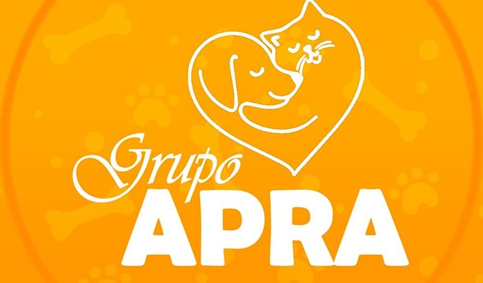 Contas - Grupo Apra