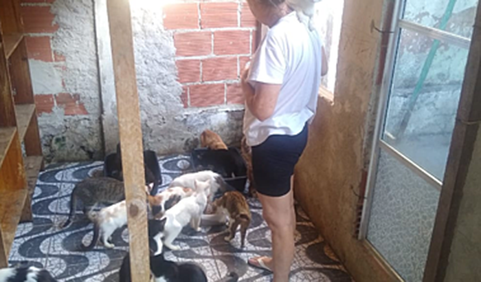 Doações Miriam Gatos e Cachorros urgente!