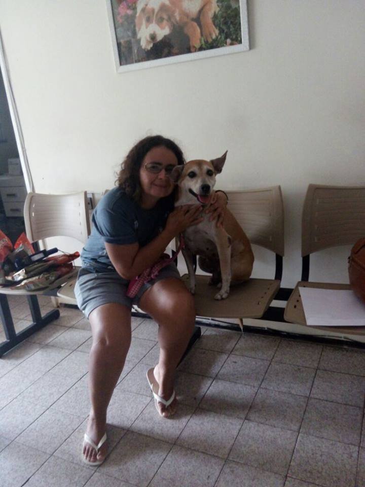 imagem da vaquinha Ajude Vivi.