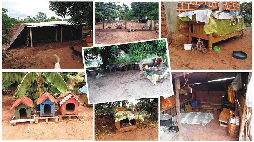 imagem da vaquinha VAMOS CONSTRUIR UM ABRIGO PARA 60 CÃES