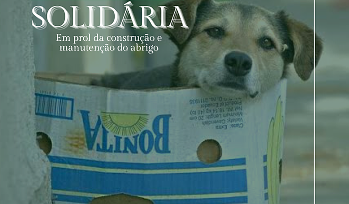  Abrigo para animais abandonados
