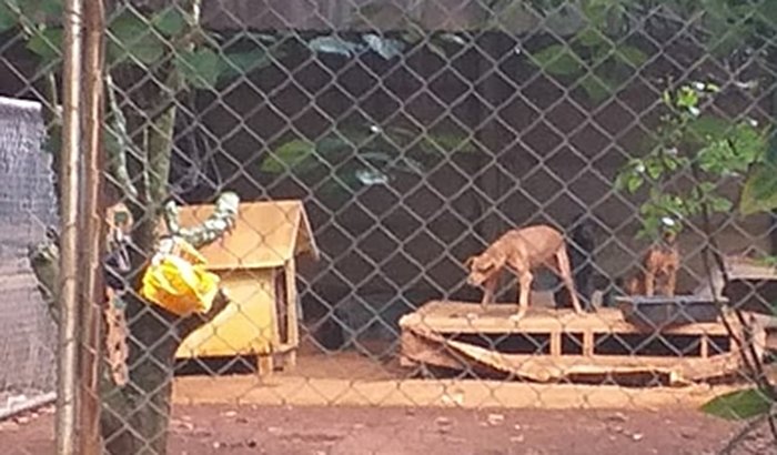 Melhorias no abrigo do tio chico