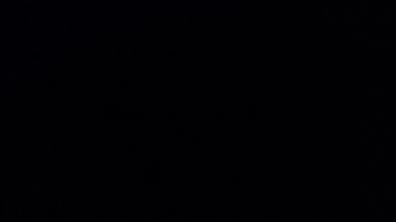 imagem da vaquinha ...