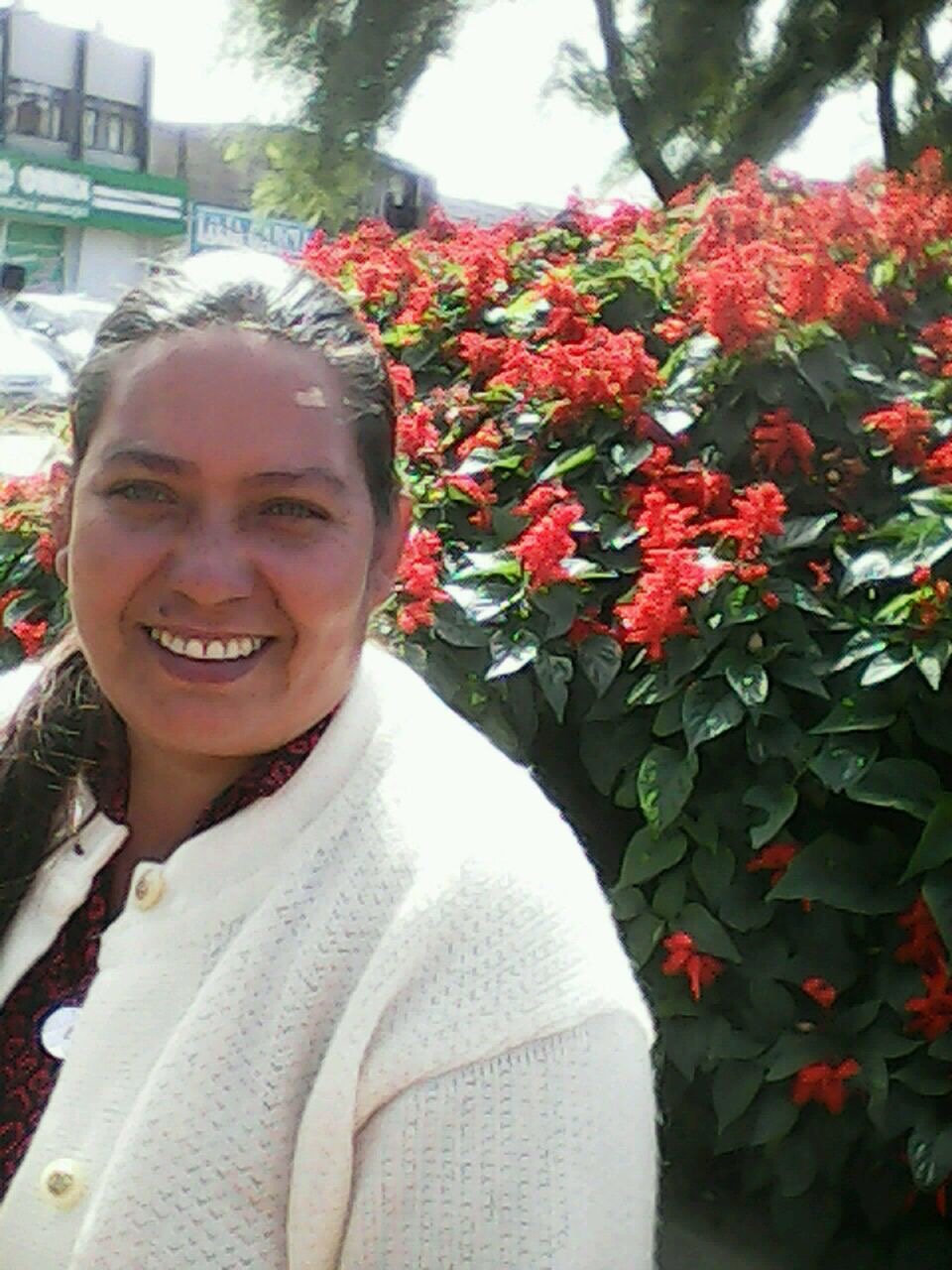 imagem da vaquinha Reencontro mãe e filha 