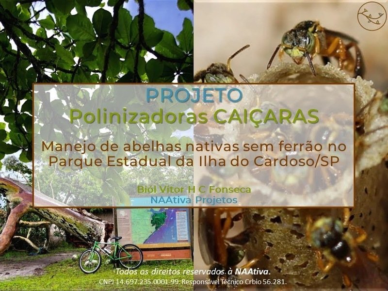 imagem da vaquinha Capacitação em Manejo de Abelhas Nativas Sem Ferrão