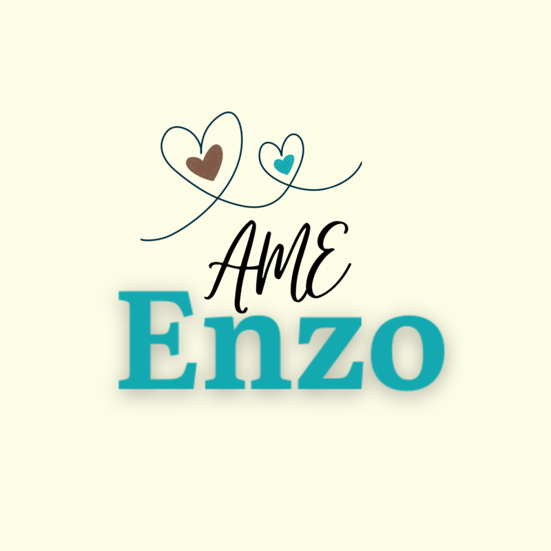 AME ENZO 