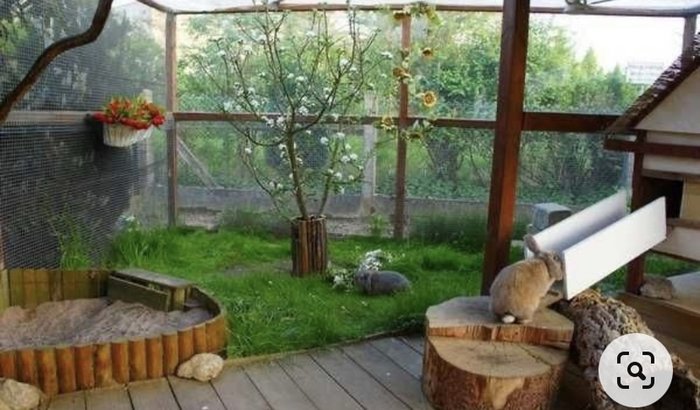 Construção do Gatil Gatinhos Salvador Ba