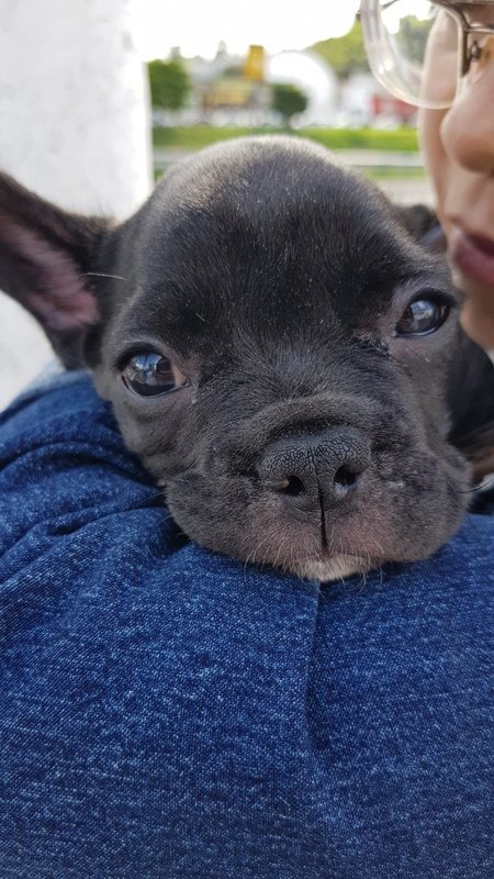 imagem da vaquinha Recuperação Alfredo