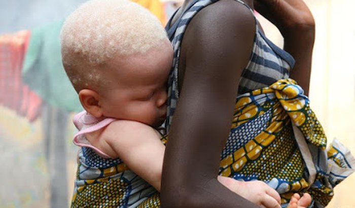 África Brasil um novo olhar para o mundo.