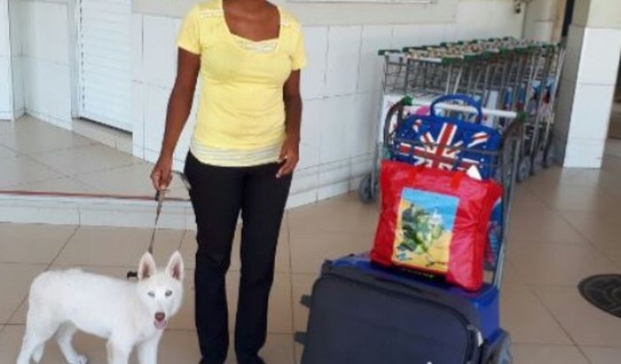 Ajude Flávia de Souza