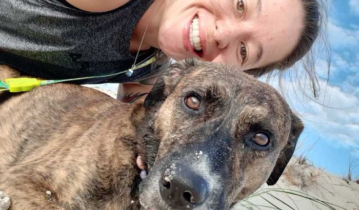 Ajude a Catalina a ter um joelho novo