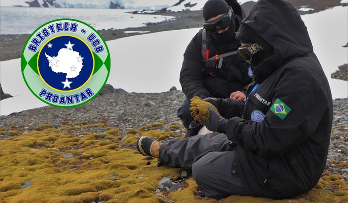 Seja um parceiro da Pesquisa Antártica