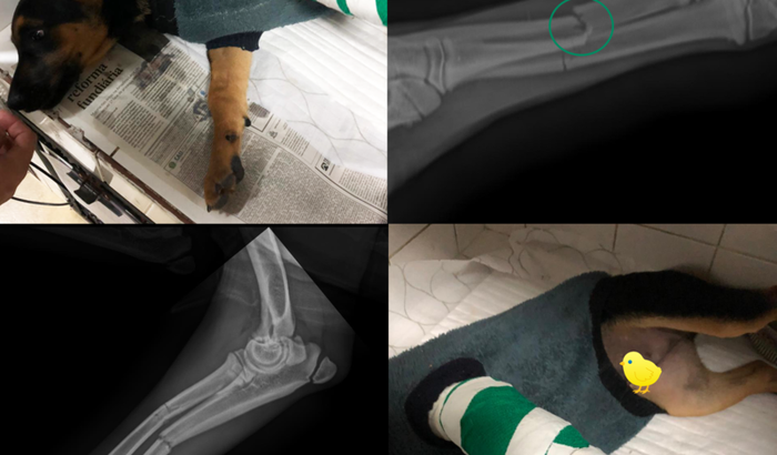 Ajude Mike a realizar sua cirurgia.