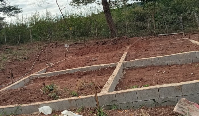 Estou precisando muito fazer minha casa moro na fazenda e o patrão esta vendendo eu não tem PR onde