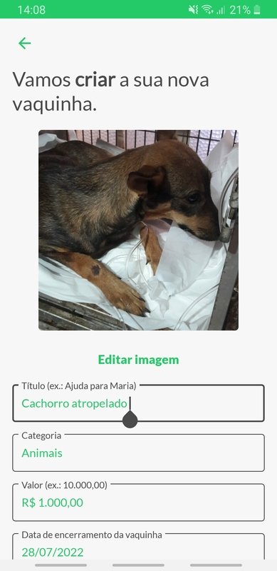 Cachorro atropelado 