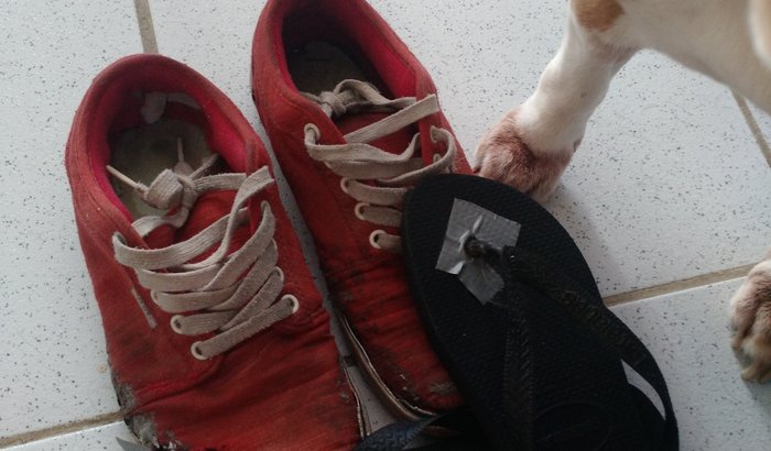 Campanha um tênis/havaianas novos pra Misao