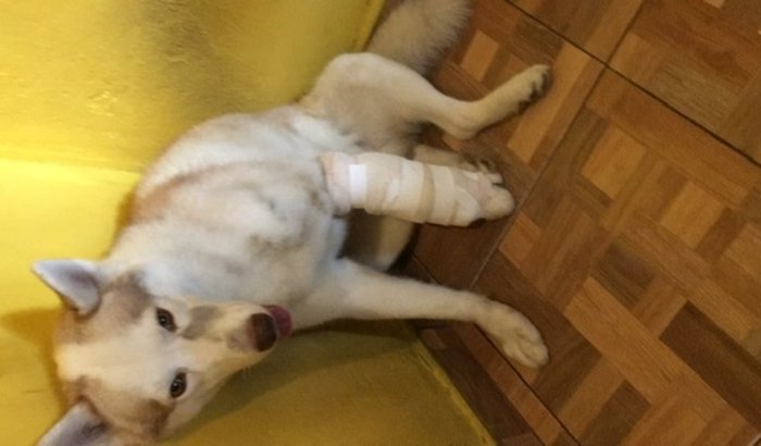 CIRURGIA ORTOPÉDICA DE LOKY URGÊNCIA