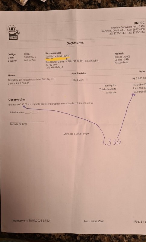 imagem da vaquinha Ajuda para cirurgia de Piometrite da doguinha Branca