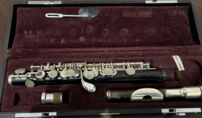 Orquestrando a Vida - Conserto de Flauta e Flautim