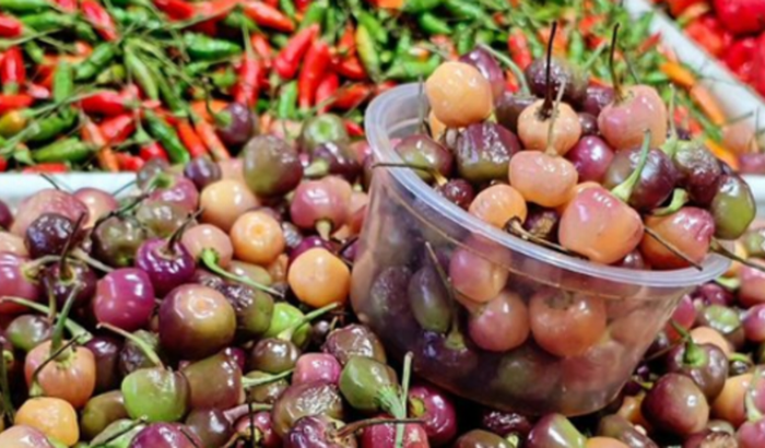 Comprar uma moto pro Trabalho 