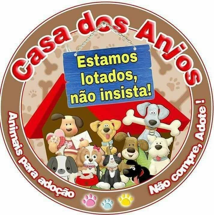 Ração gatos diabéticos e doentes renais