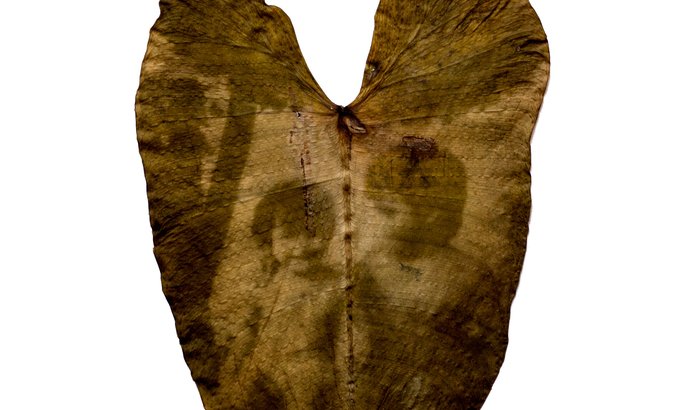 Perecível - Livro de fotos e micropoesias de Felipe Camilo