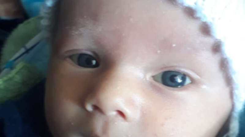 imagem da vaquinha 3 meses atrasados 