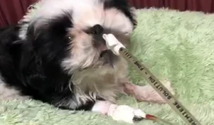 Ajuda ao Parmalat internado