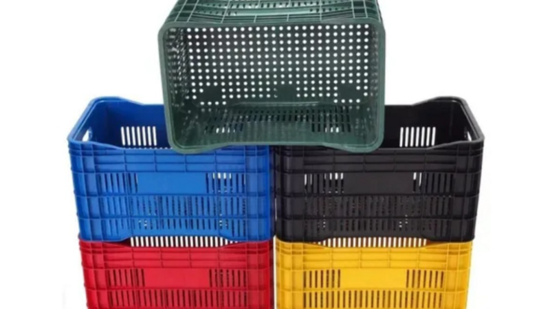 AJUDE A FEAMAR - ARAUCÁRIA