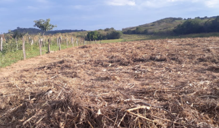 Ajuda para construção da nossa casa no sitio