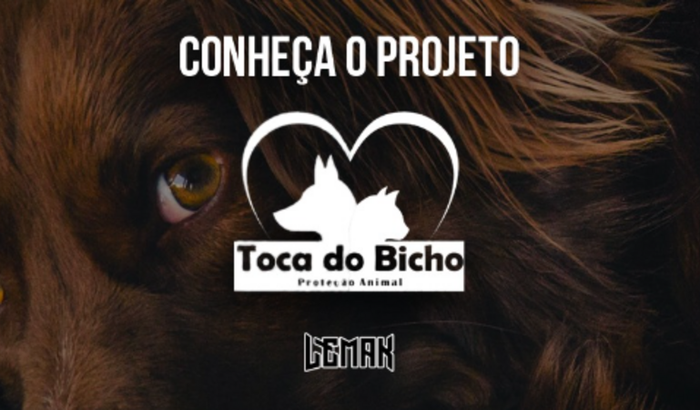 Projeto Toca do Bicho