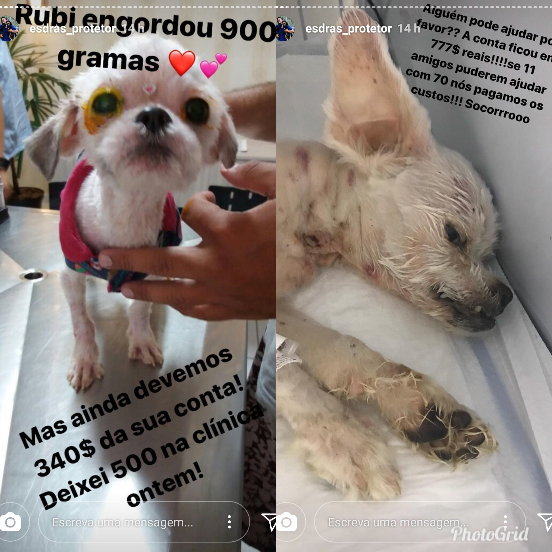 imagem da vaquinha Rubi