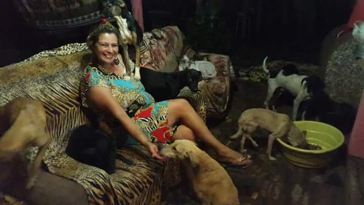 imagem da vaquinha Doe Tijolinhos- Abrigo da Borika 