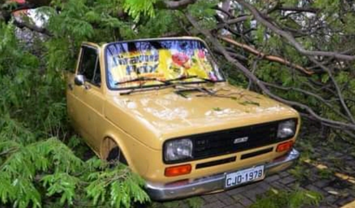 Ajuda para reforma do 147 do sr. José