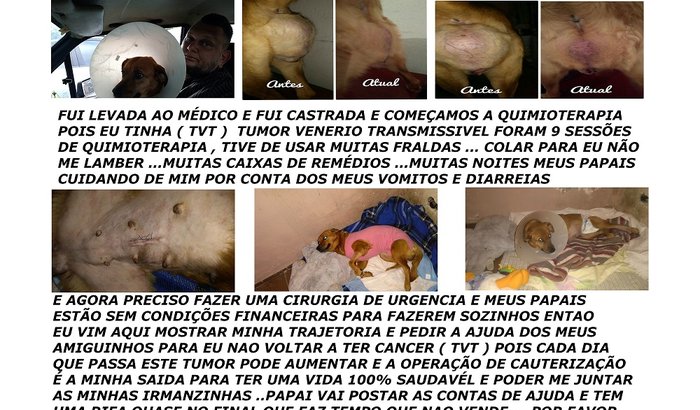 UMA AJUDA PARA VITORIA