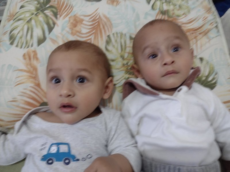 Auda para família desempregada morando de favor com dois bebes gêmeos de 9 meses