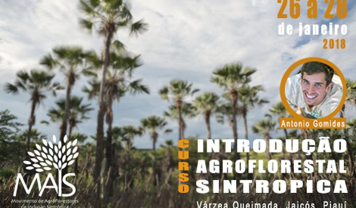 Curso de Agrofloresta em Várzea Queimada, PI.