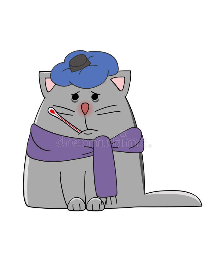 Ração Gatos Doentes