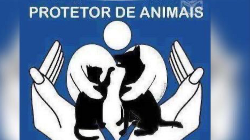 imagem da vaquinha Nos ajude a voltar a resgatar 