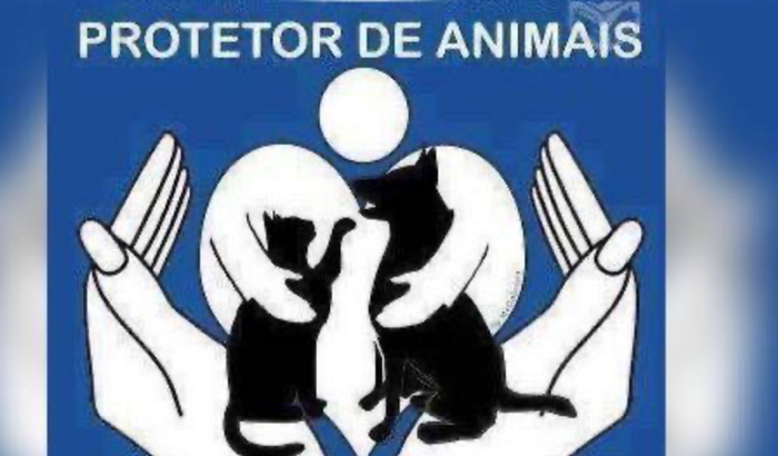 Nos ajude a voltar a resgatar 