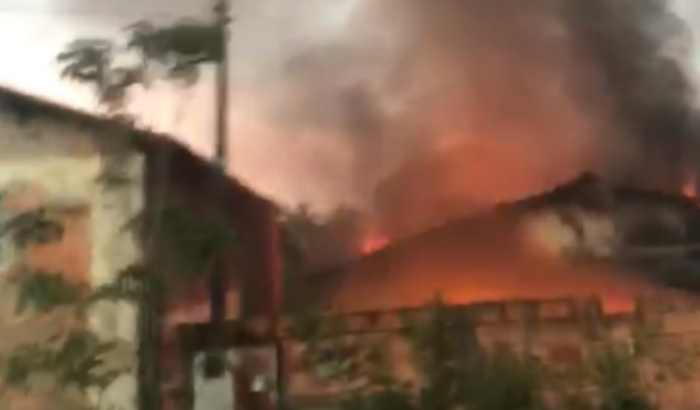 Ajudar a dani reconstruir sua casinha 
