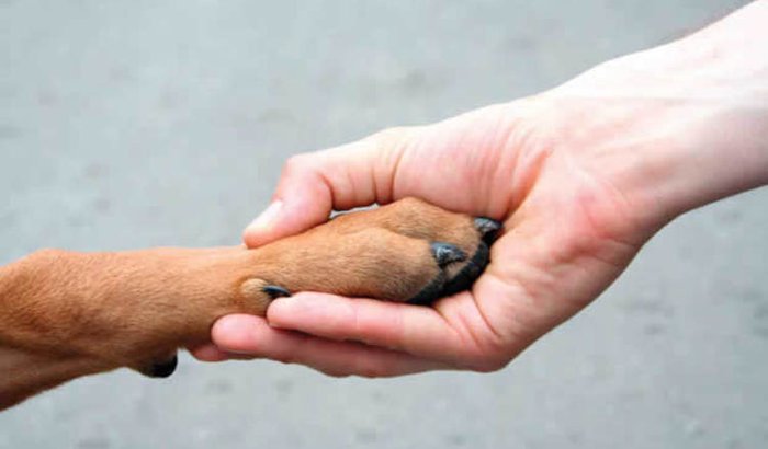 Resgate de Animais Sorocaba e Votorantim
