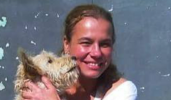 AJUDA PARA TRANSFERIR UM ABRIGO COM 40 GATOS E 23 CACHORROS PARA UM ESPAÇO